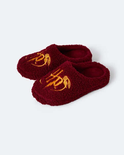 Pantoufles Harry Potter