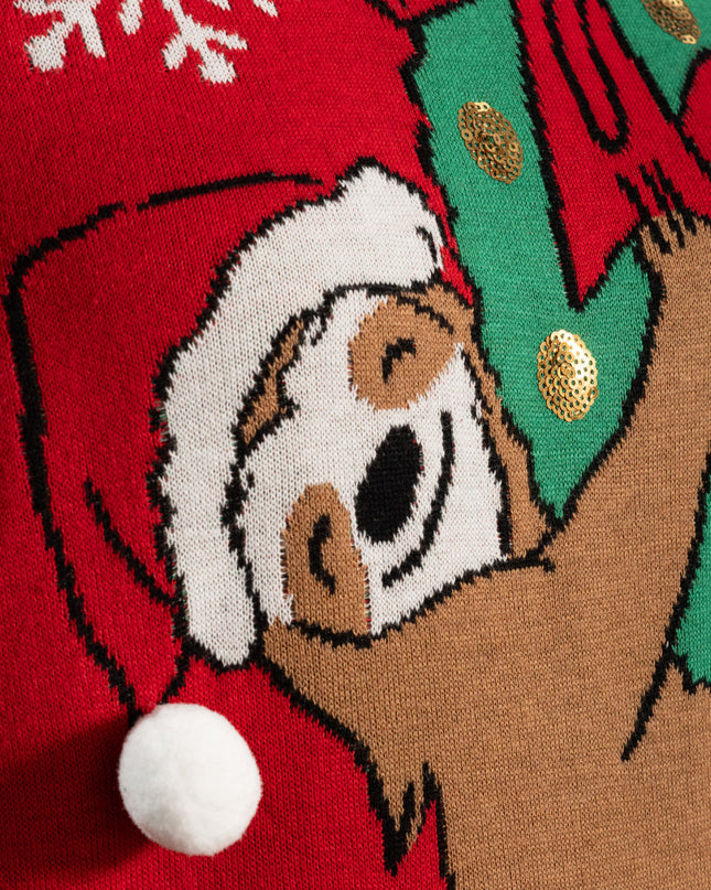 Paresseux suspendu à une couronne de Noël, pull moche