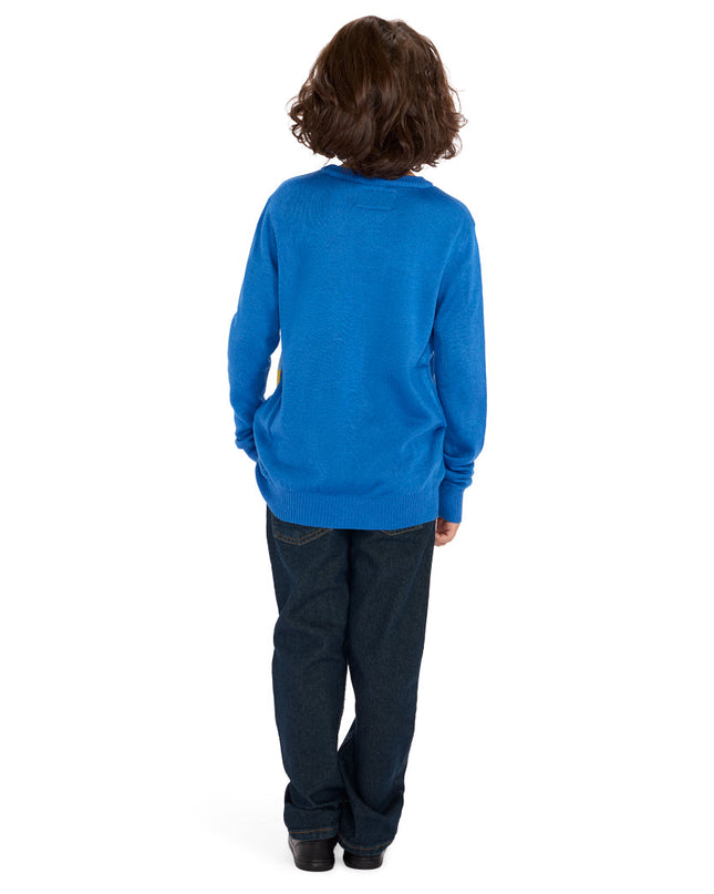 Boy's Jewnicorn Sweater