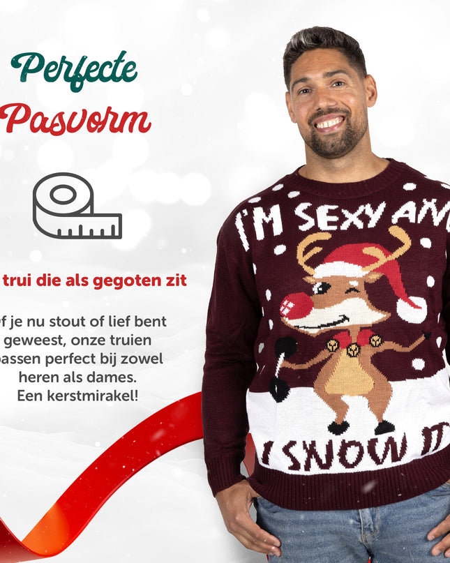Pull de Noël « Je suis sexy et je le fais »