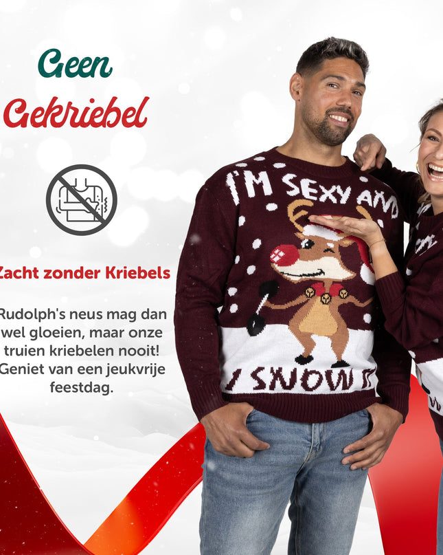 Pull de Noël « Je suis sexy et je le fais »