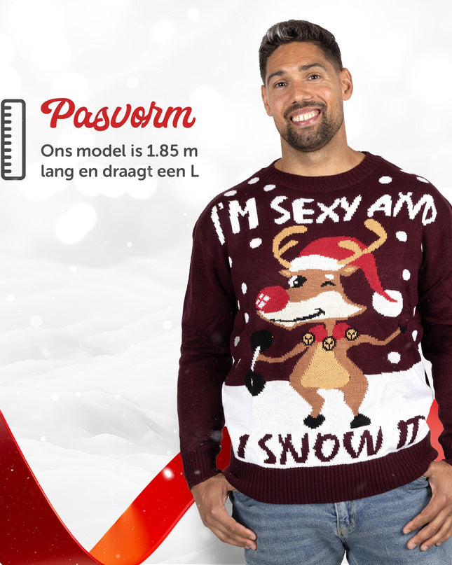 Pull de Noël « Je suis sexy et je le fais »