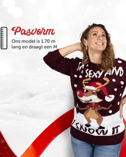Pull de Noël « Je suis sexy et je le fais »