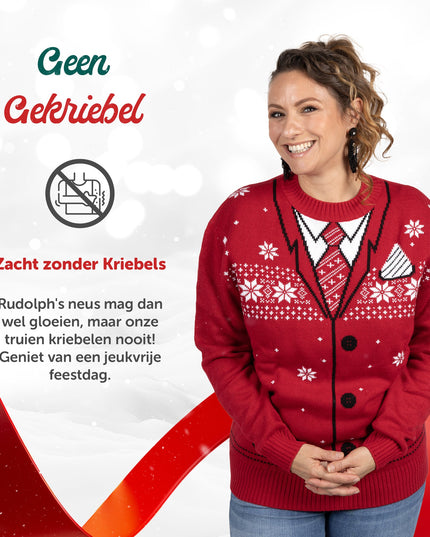 Pull de Noël avec un magnifique motif de Noël