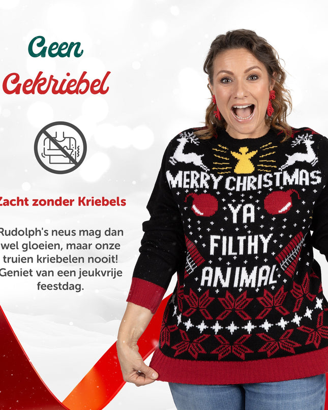 Pull de Noël Joyeux Noël Espèce de sale bête