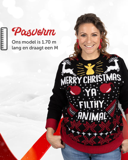 Pull de Noël Joyeux Noël Espèce de sale bête