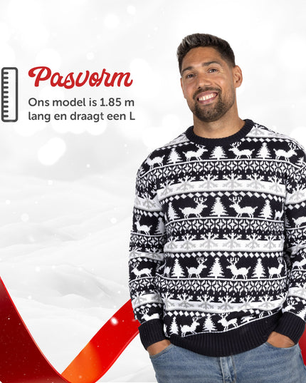 Pull de Noël Marius pour femme, coloris bleu et blanc moderne