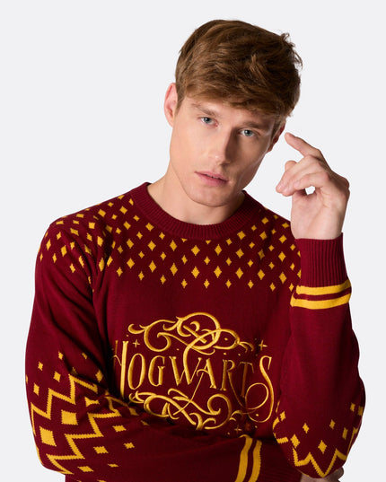 Pull de Noël Poudlard pour homme, idéal pour des fêtes magiques