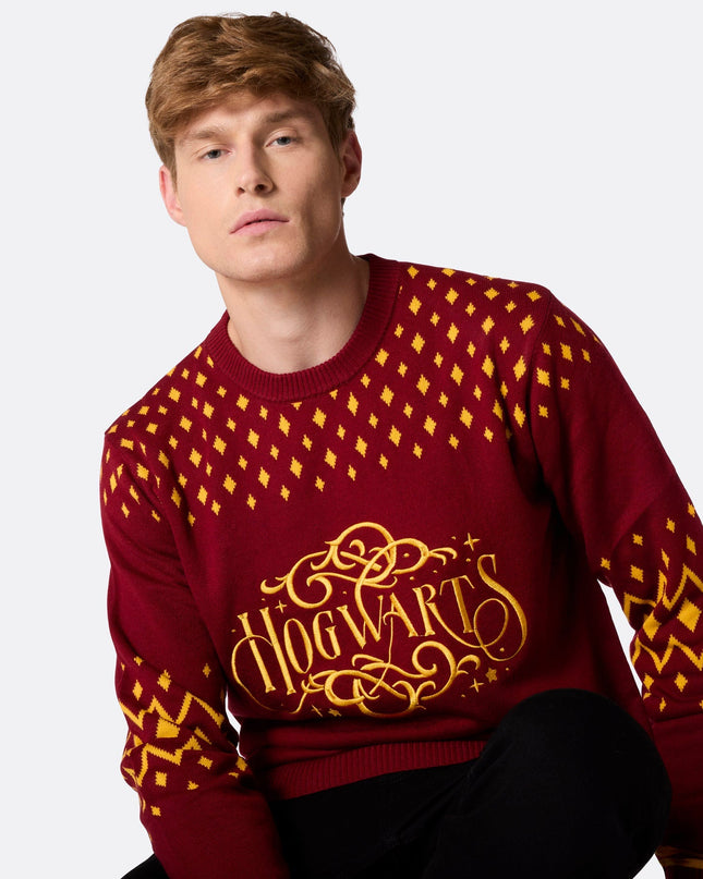 Pull de Noël Poudlard pour homme