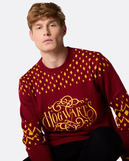 Pull de Noël Poudlard pour homme, idéal pour des fêtes magiques