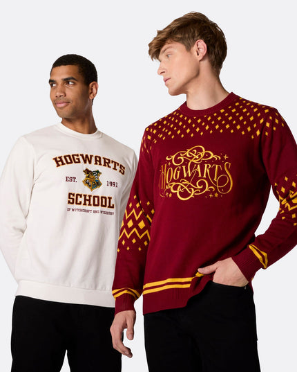 Pull de Noël Poudlard pour femme, pour des fêtes magiques