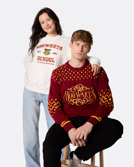 Pull de Noël Poudlard pour femme, pour des fêtes magiques