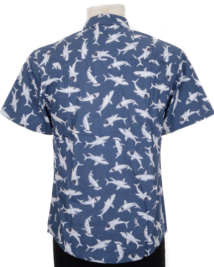 Chemise - Requin