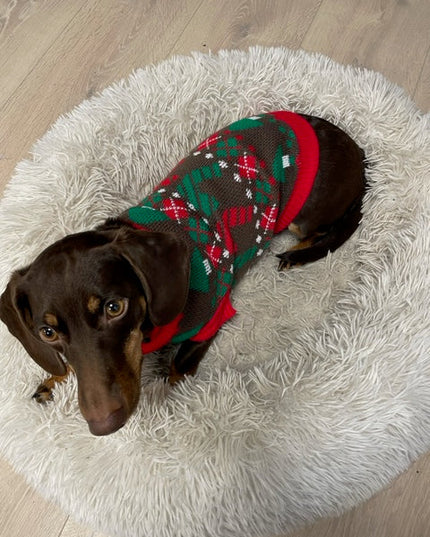 Pull de Noël pour chien marron