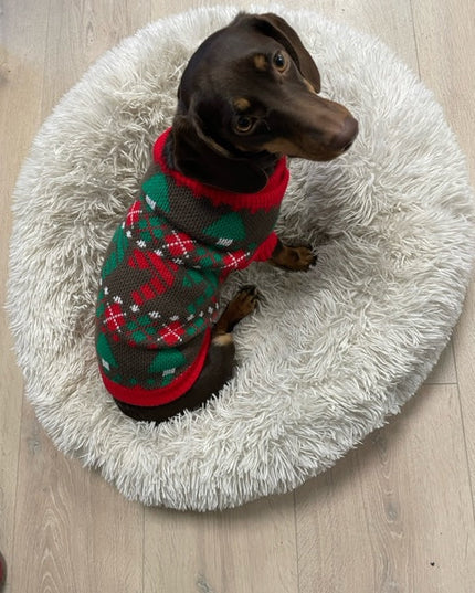 Pull de Noël pour chien marron