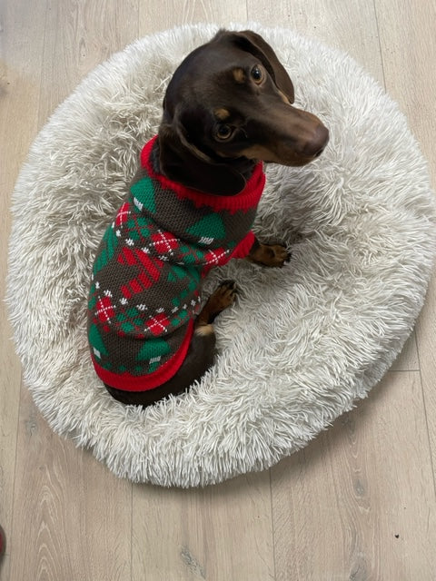 Pull de Noël pour chien marron