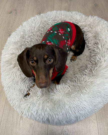 Pull de Noël pour chien marron
