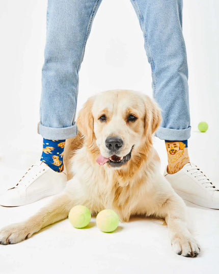 Chaussettes Many Mornings - Golden Boy