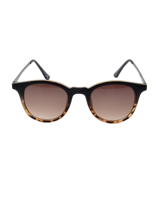 Tom Rounded - Tortue | Accessoire ludique