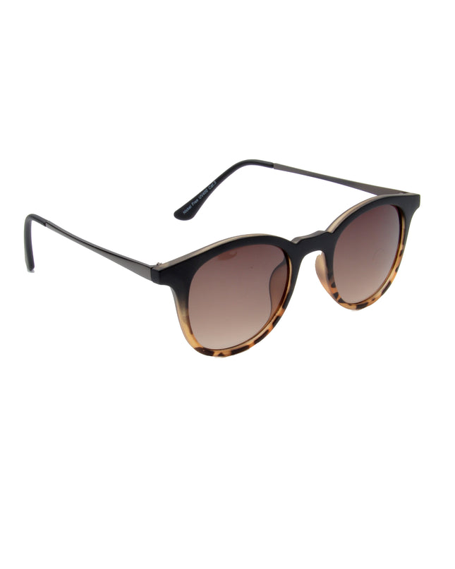 Tom Rounded - Tortue | Accessoire ludique