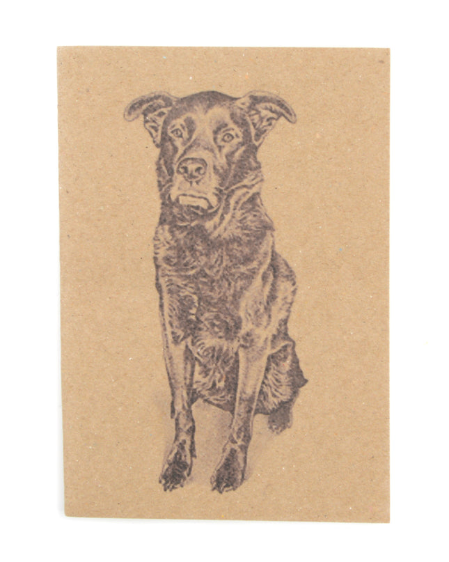 Notesz - Chien