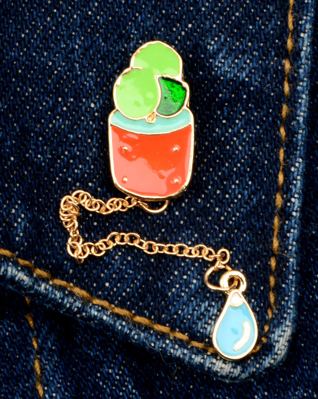 Insigne - Plante grasse