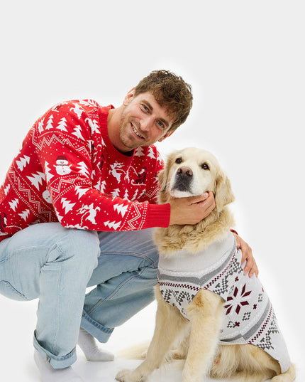 Pull de Noël gris avec motif d'étoile polaire et chien