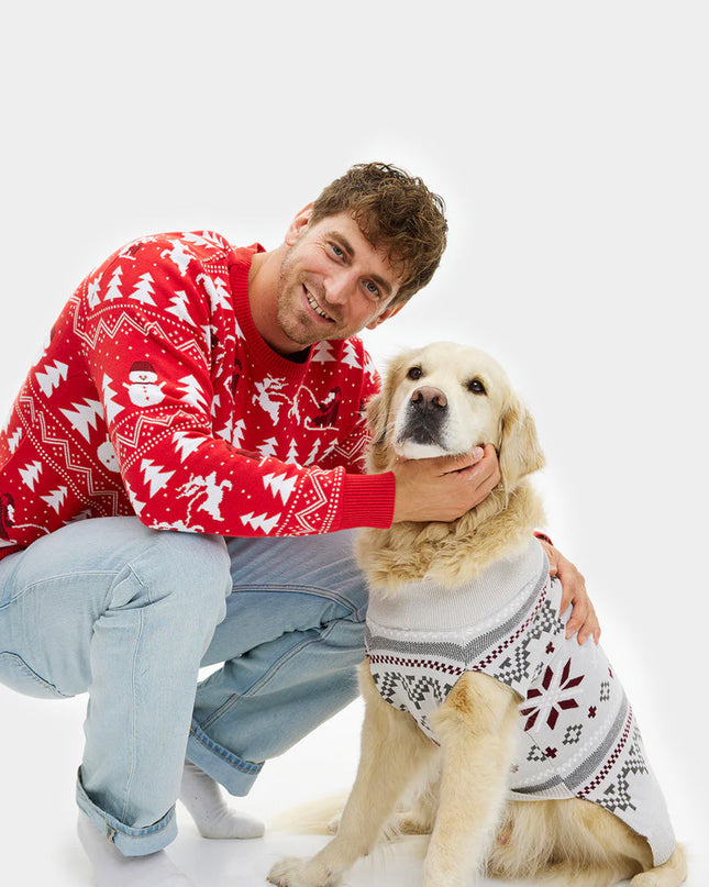 Pull de Noël gris avec motif d'étoile polaire et chien