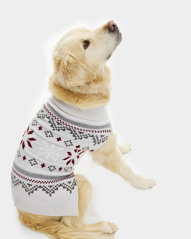 Pull de Noël gris avec motif d'étoile polaire et chien