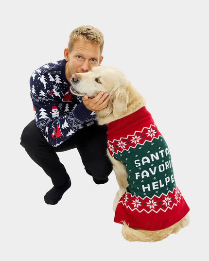 Pull de Noël pour chien avec motif Petit Lutin du Père Noël
