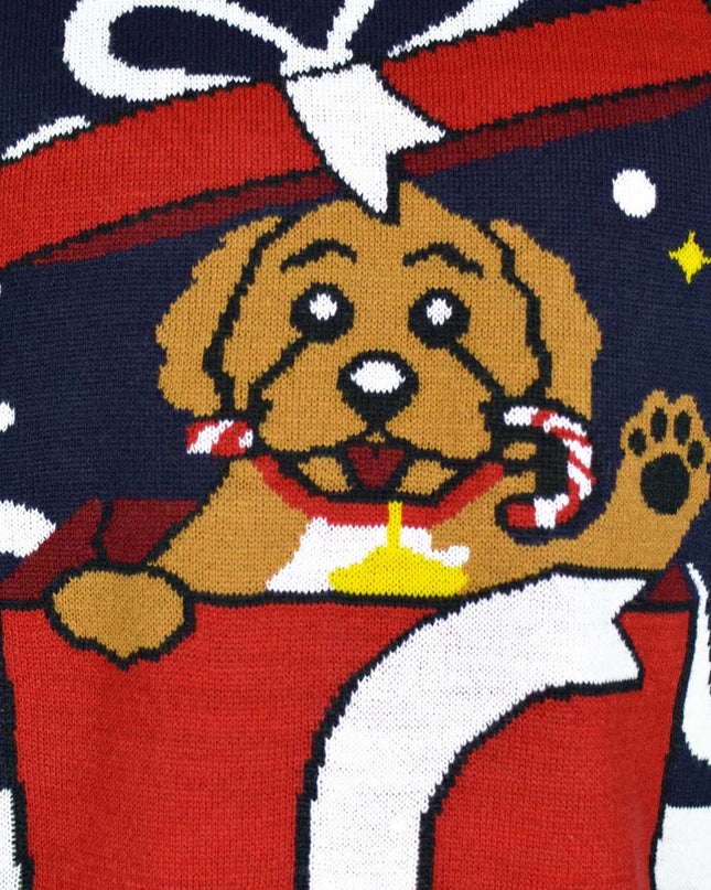 Pull de Noël Feliz Navidog pour la famille