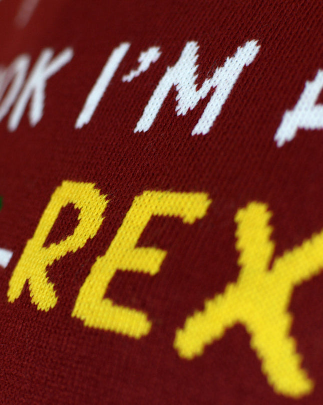 Pull-over Rex avec sapin de Noël LED pour homme