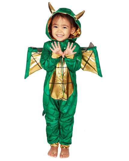 Baby Girl's Dragon Costume