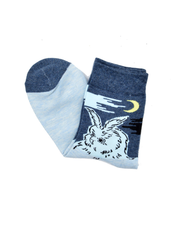 Chaussettes de Noël amusantes Zokni - Hiboux pour adultes et enfants