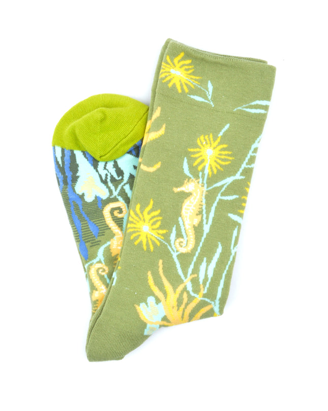 Chaussettes Hippocampe - Amusantes et originales