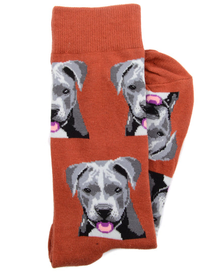 Chaussettes amusantes pour chiots - Édition limitée
