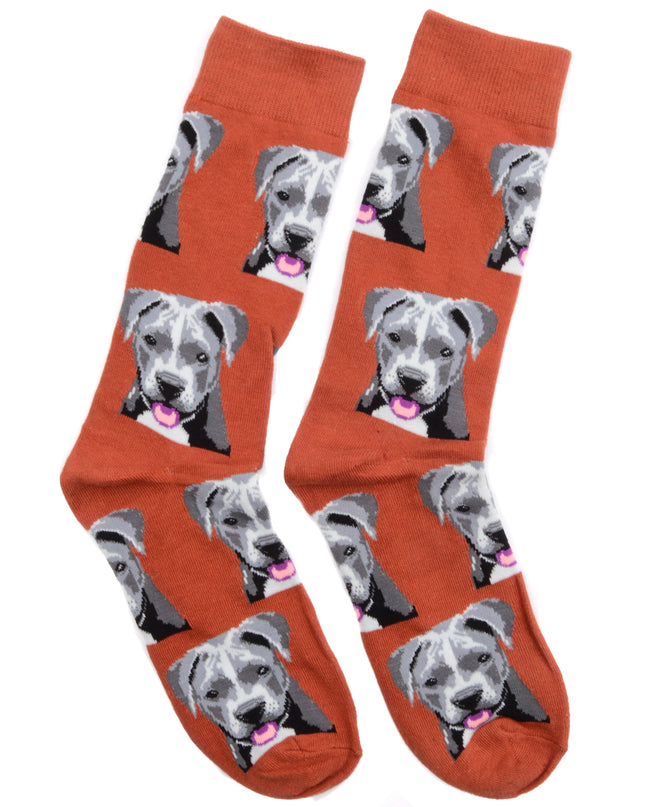 Chaussettes amusantes pour chiots - Édition limitée
