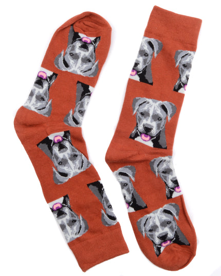 Chaussettes amusantes pour chiots - Édition limitée
